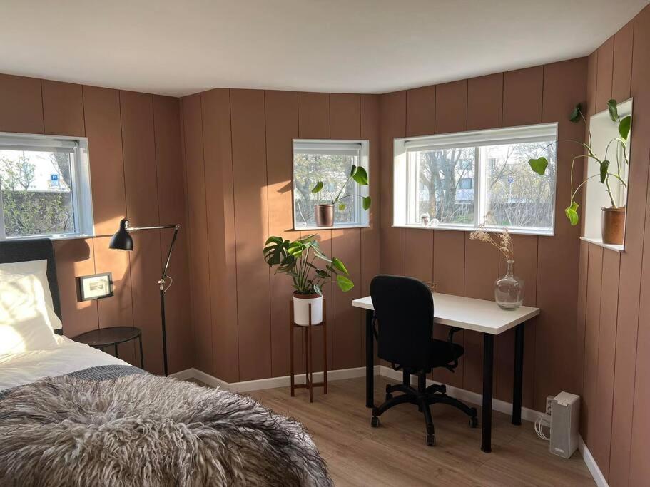 New Cozy Bohemian Dowtown Reykjavik Apartment Luaran gambar